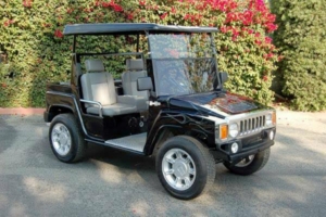 affordable golf cart rental, golf cart rent folly beach